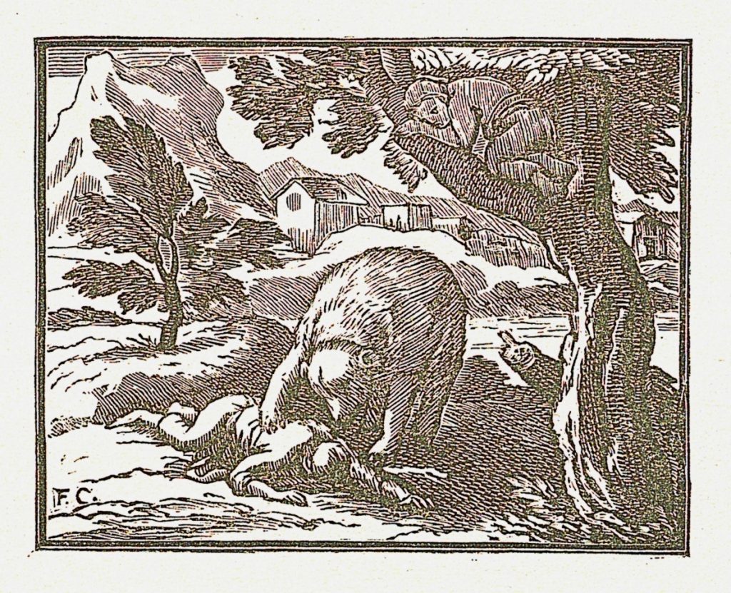 La Toile à Nolwenn Vendre la peau de l