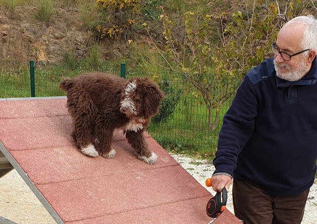 [Imagen: Agility.jpg]