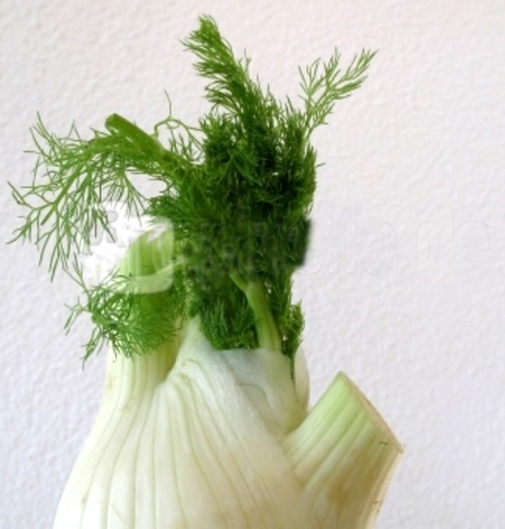 Kochmomente: Fenchel mit Nüssen Kochmomente: Fenchel mit Nüssen