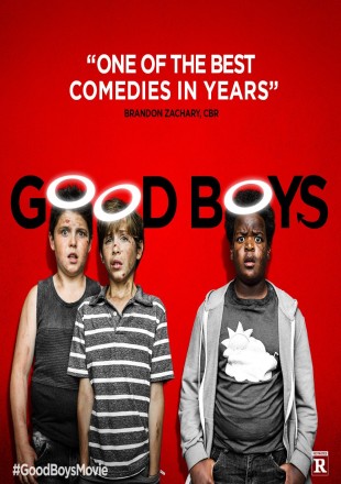 Good Boys 2019 BRRip 480p Dual Audio 300Mb