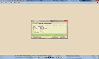 Windows Windows
