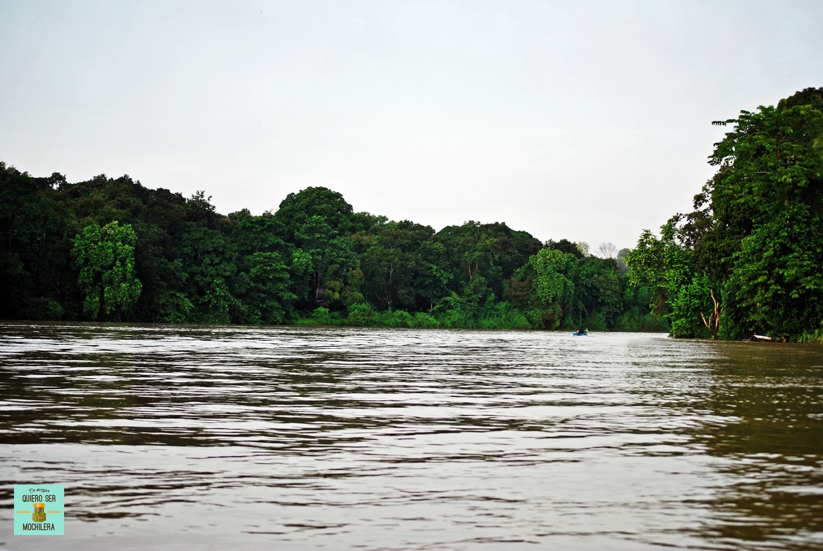 Islas del Mundo Borneo