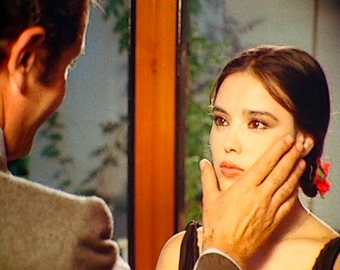 сладкая горячая лиза 1980. горячая лиза фильм 1980. лиза уэлш модель. сладкая горячая лиза 1980. фильм dolce calda lisa 1980.