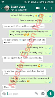Umpan serbuk Ikan Mas Musim Hujan Umpan serbuk Ikan Mas Musim Hujan