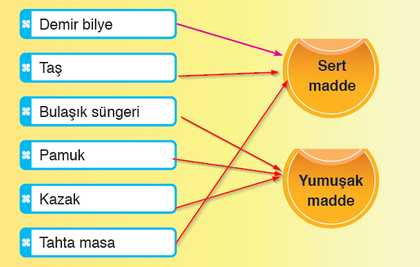 3. Sınıf Fen Bilimleri Anadol Yayınları 107. Sayfa Cevapları