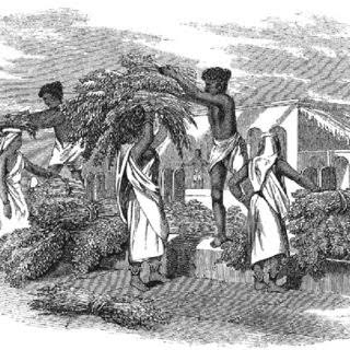 The Revolt of 1857: The Broader Manifestation of Emerging Mass Nationalism in India 🇮🇳