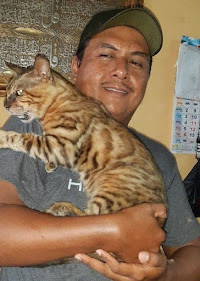 KENANGAN SELAMATKAN KUCING BENGAL DI HIGHWAY