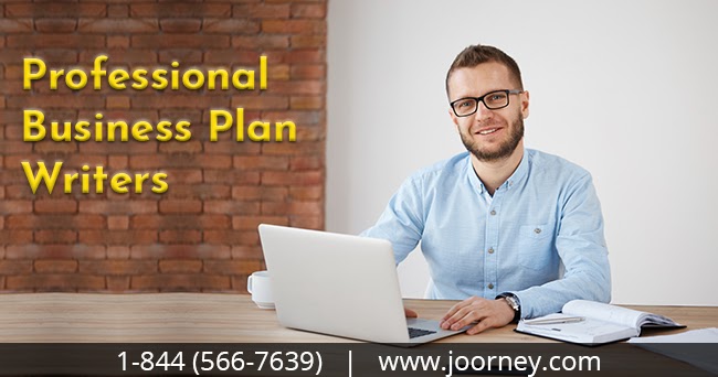 professional business plan writers