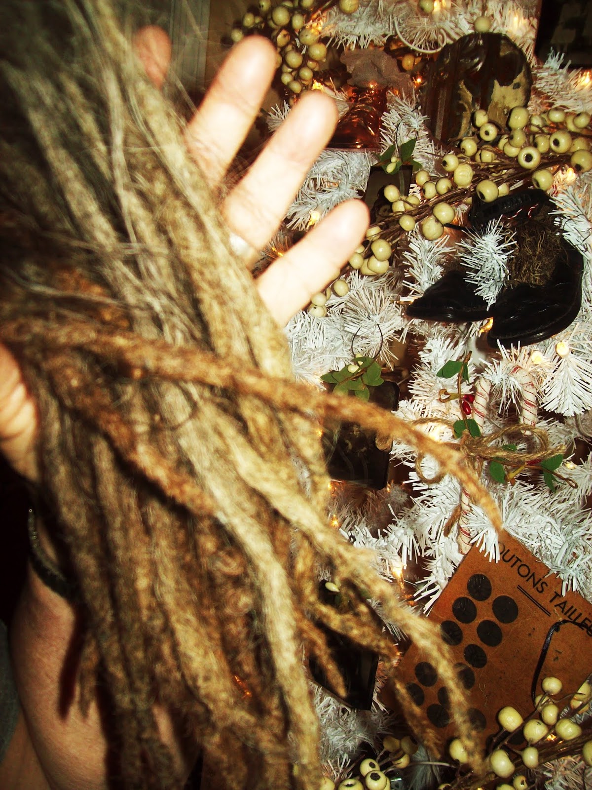 Bohemian Valhalla The Dreadlock Diaries