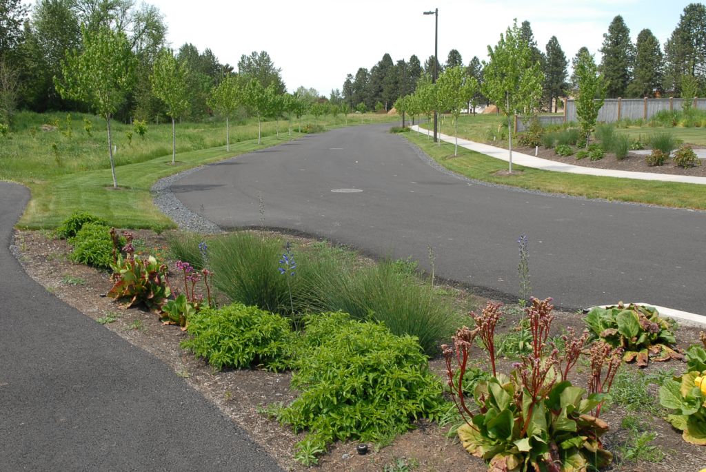 Paisaje Sustentable: Soluciones Casco Histórico