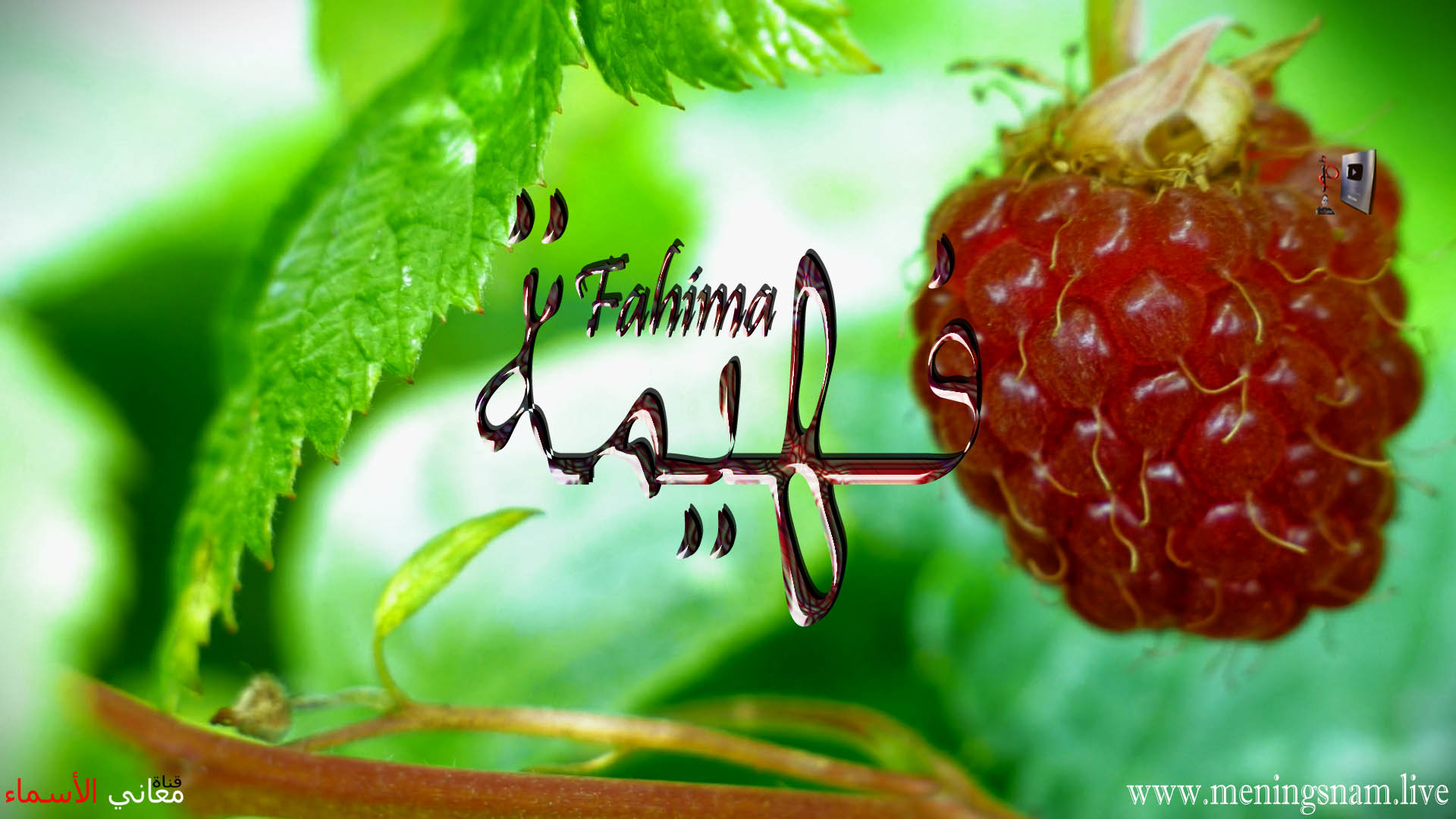 معنى اسم, فهيمة, وصفات, حاملة, هذا الاسم, Fahima,