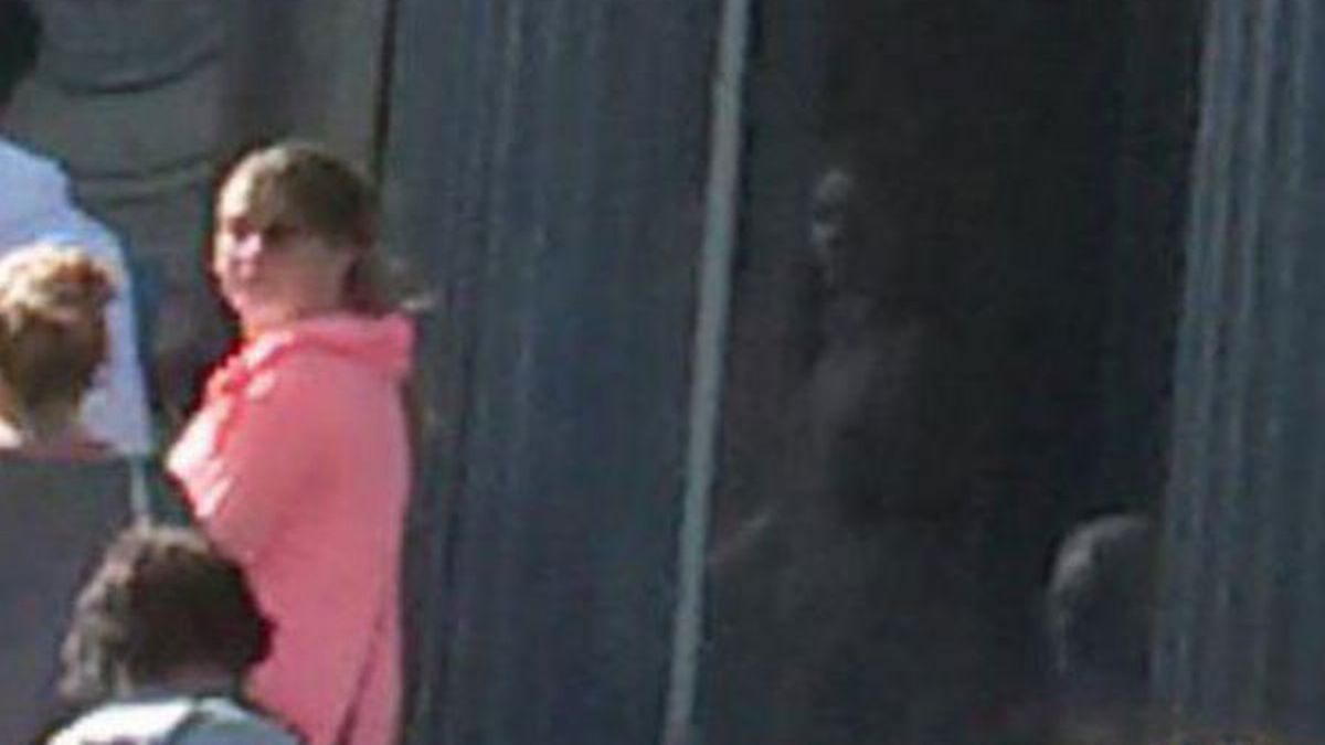 Loftus Hall, la mansión más encantada de Irlanda.