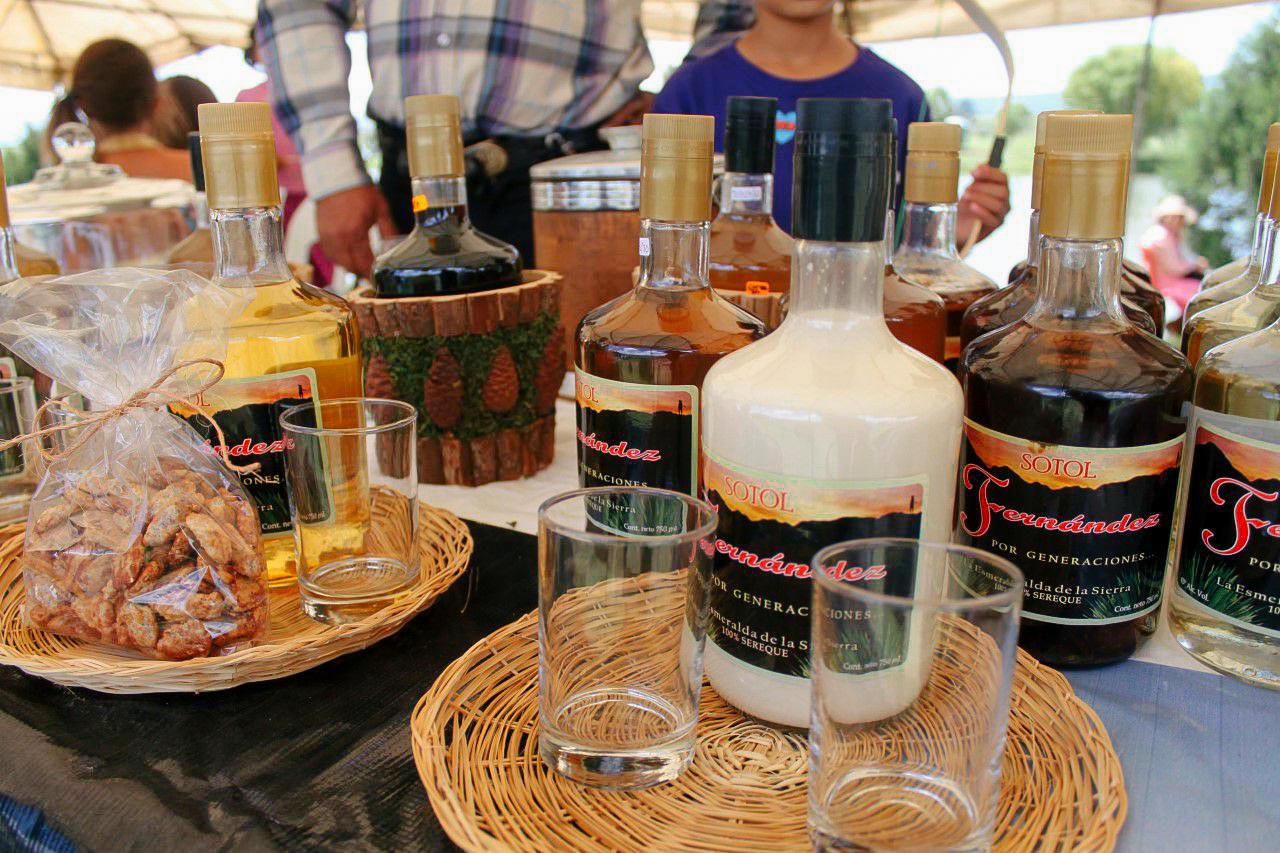 Conociendo México Sotol, el destilado del norte de México