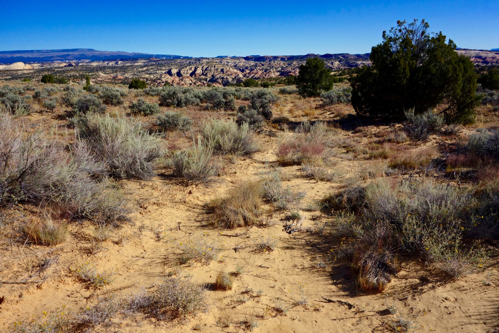 Earthline The American West Cream Cellar Road and Escalante Natural