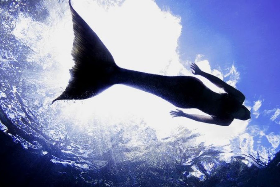 fotos-de-sirenas-reales-encontradas-en-el-mundo fotos-de-sirenas-reales-encontradas-en-el-mundo