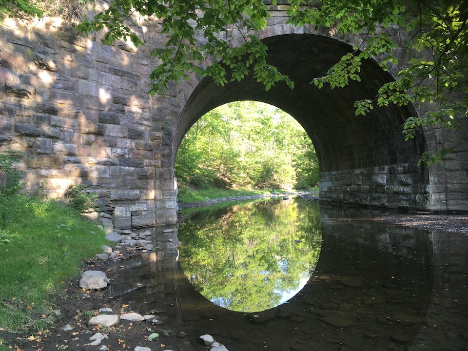 Rich's PedalPoint Glenville/Alplaus Visit