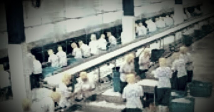 Proses Produksi Production Process Pengertian Tujuan Karakteristik Jenis Dan Tahapan Proses Produksi