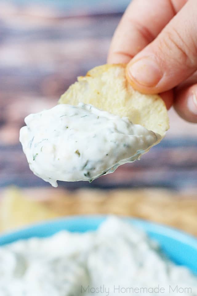 This simple chip dip takes 5 minutes to pull together, and is SO much better than those little packets - cheaper, too! Sour cream, mayo, and herbs... bring on the chips and veggies!
