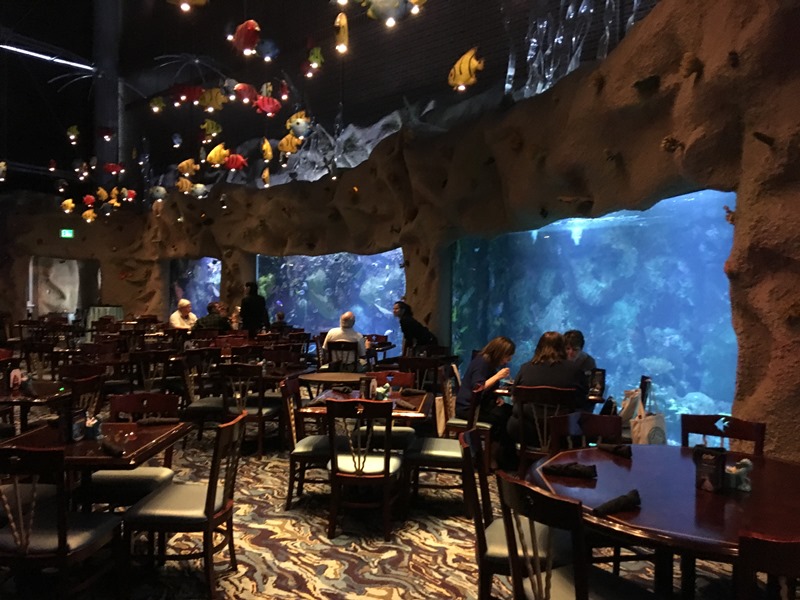 The Zoo Review Zoo Review Downtown Aquarium Denver