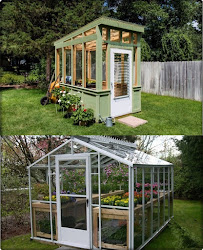 garden greenhouse cactus yard
