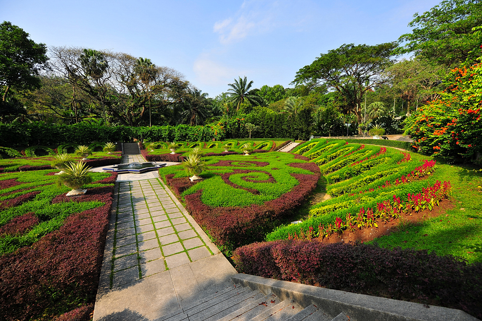 The Life Journey in Photography Cycad Island and Sunken Garden