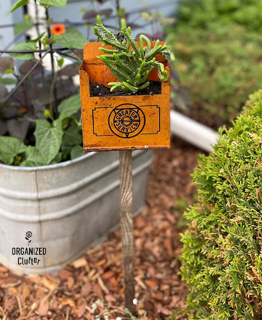 Photo of a repurposed metal container planter on a stake