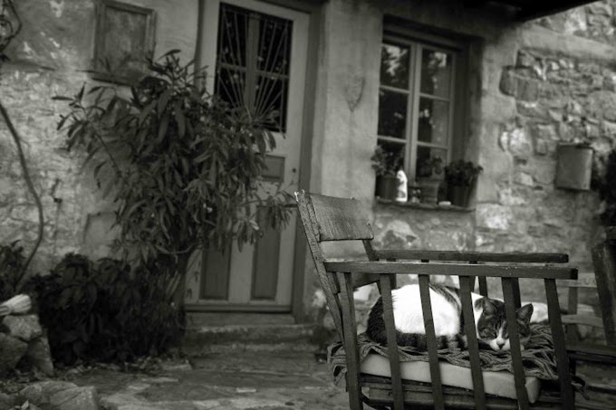 Βόλος: Μπήκαν σπίτι και τον βρήκαν ημιλιπόθυμο από την πείνα! Στο φως ακόμα ένα ανθρώπινο δράμα