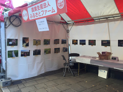 ファーマーズ＆キッズフェア＠日比谷公園
