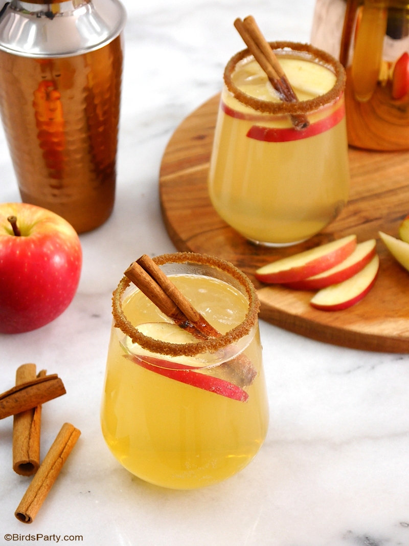 Apple and Cinnamon Punch Cocktail  - an easy, quick and delicious drink recipe for fall gatherings or Thanksgiving! Make it in a shaker or a make a big batch in a punch bowl! by BirdsParty.com @birdsparty #fall #autumn #fallrecipes #fallcocktails #apples #applerecipes #applecocktail #applecinnamon #applepunch #applecider #applerecipe #appledrink #fallcocktails #thansgivingcocktails