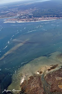 Photo aérienne de l'ile aux oiseaux du Bassin d'Arcachon