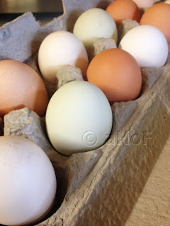 Fresh Eggs, Farmers' Market