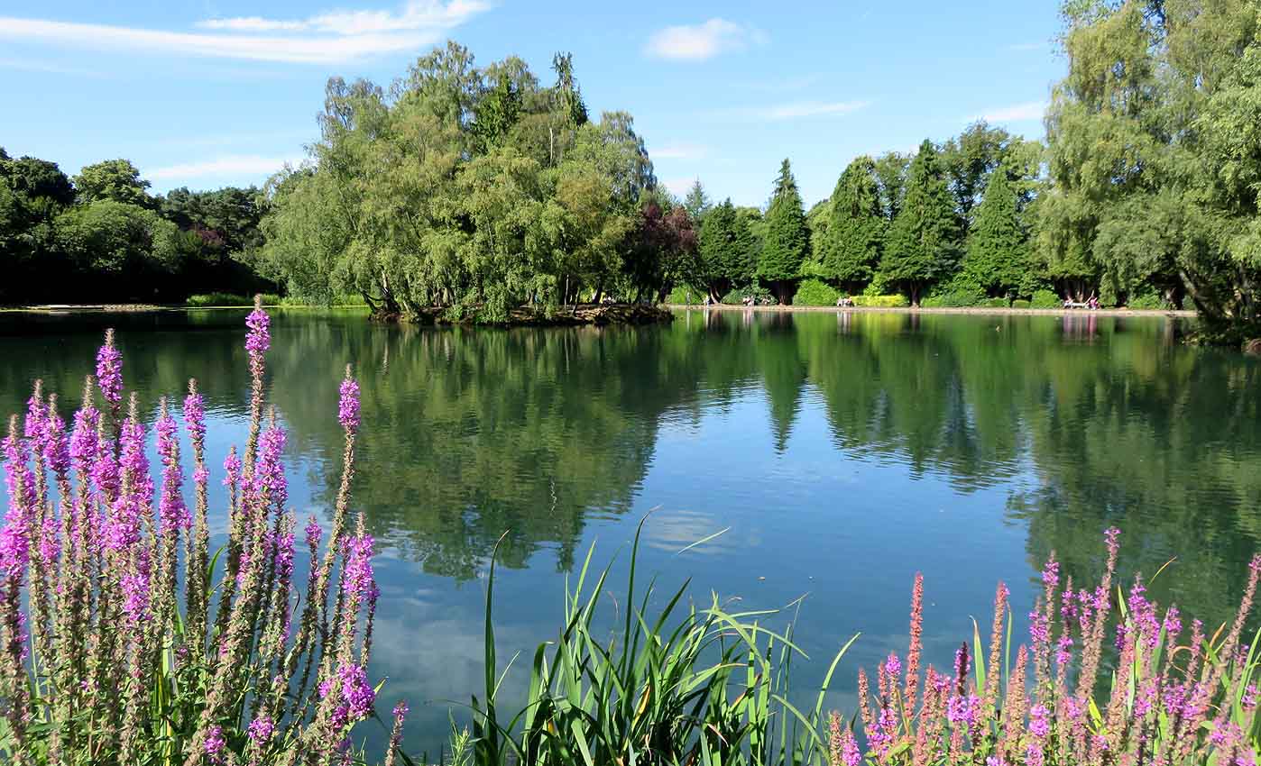 Alex and Bob`s Blue Sky Scotland Rouken Glen Park. Barrhead Dams