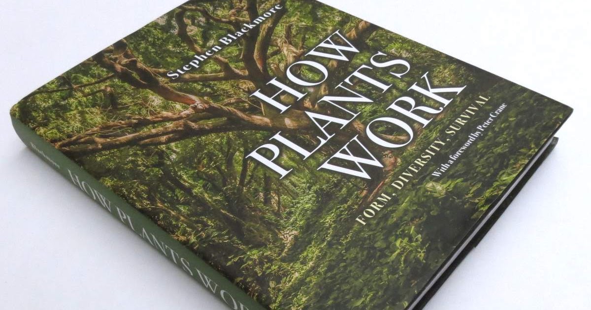 Book Review How Plants Work Princeton University Press Travels