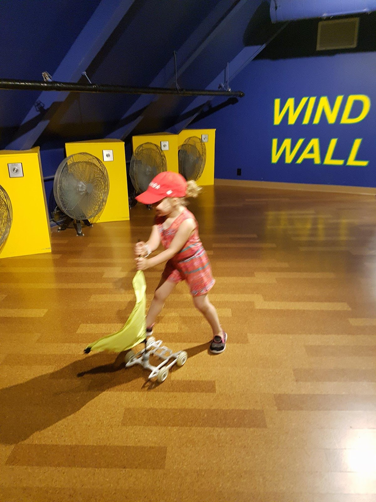 Things To Do with the Kids in Ottawa Brockville Aquatarium Review