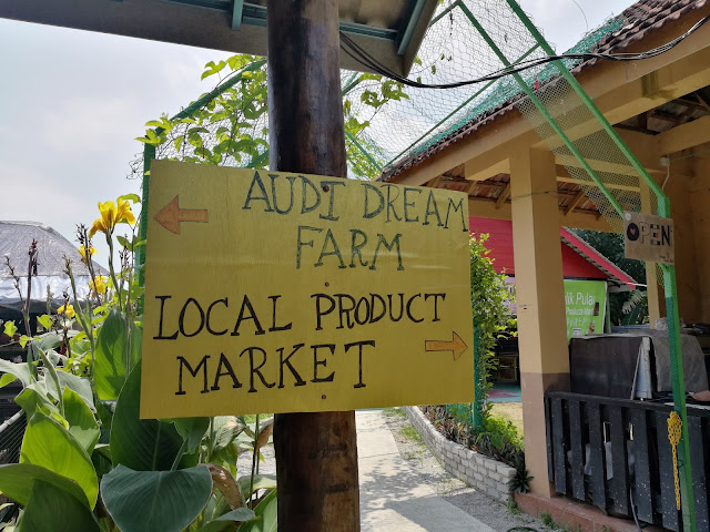 Audi Dream Farm Balik Pulau Penang Petting Zoo Feed Animal