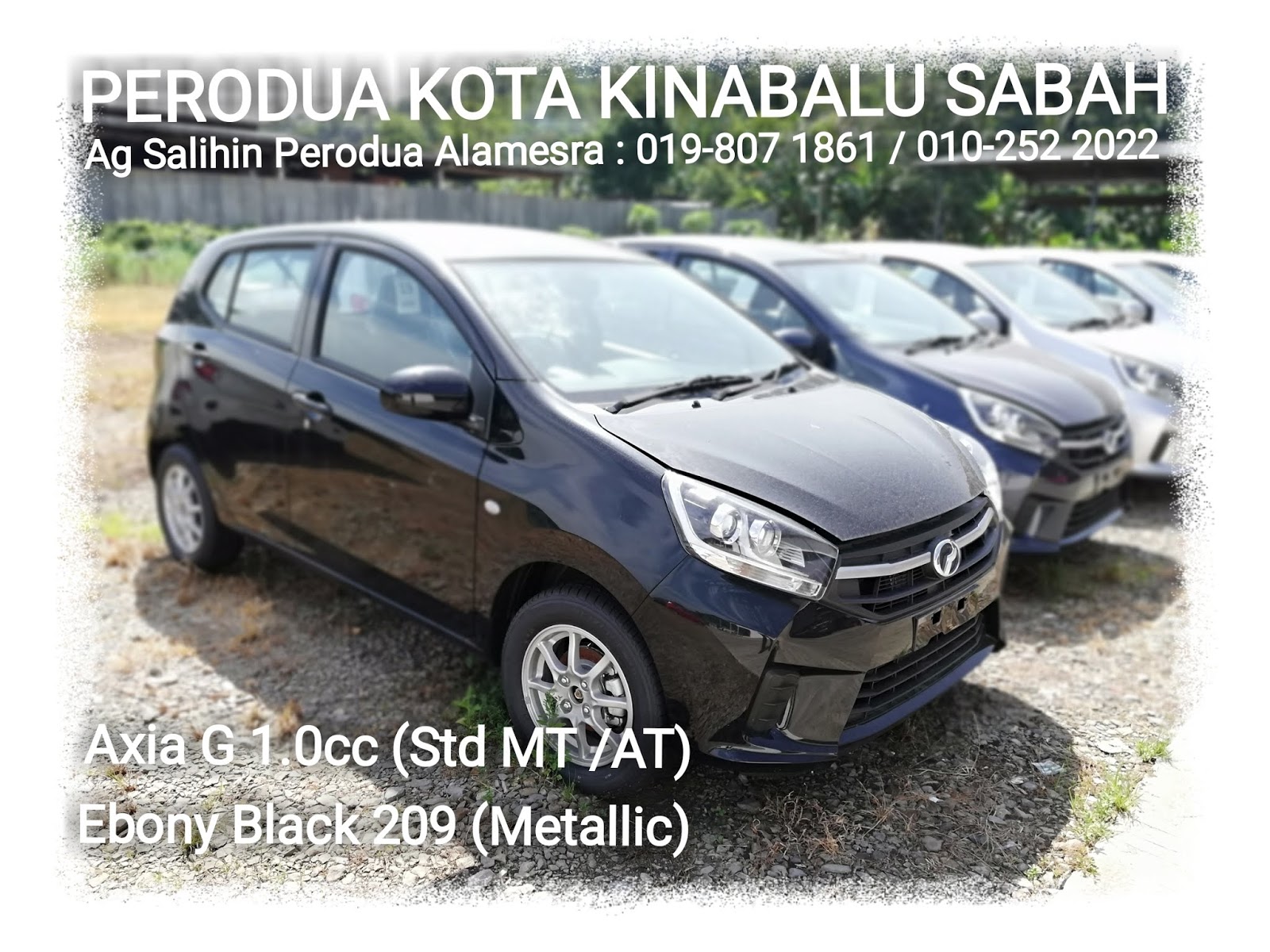 Warna Pilihan Perodua Axia G Youtube