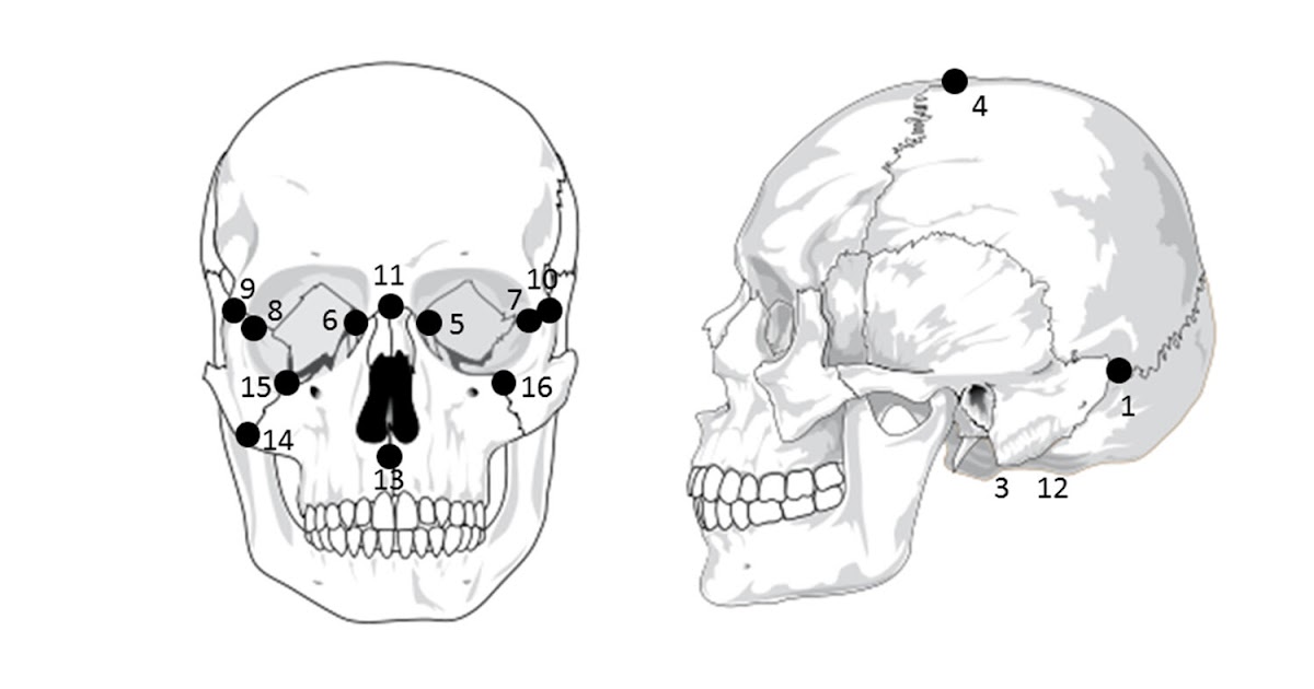 Brian Labudde Exercise Physiologist Southeast Georgia Health