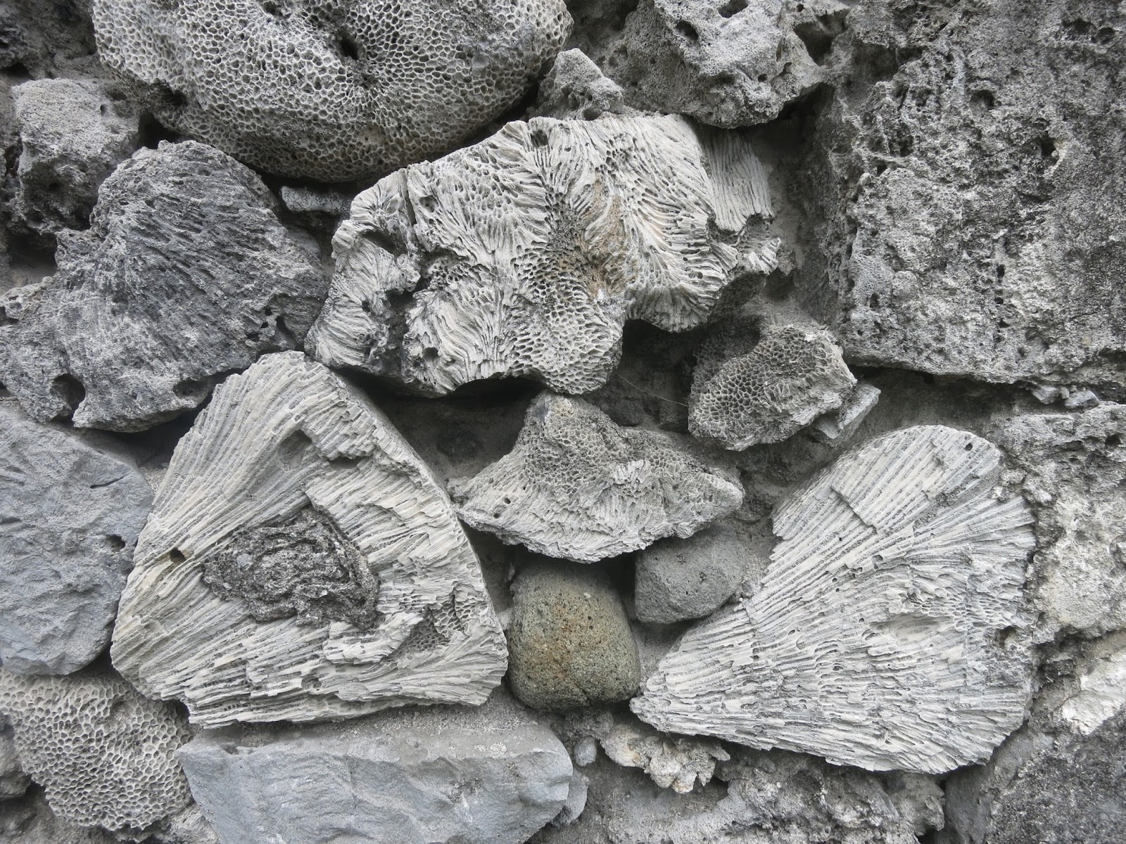 Splash of Yellow Top things to do and see in Batanes in 3 days