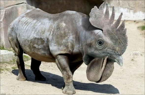 Photoshopped Animals