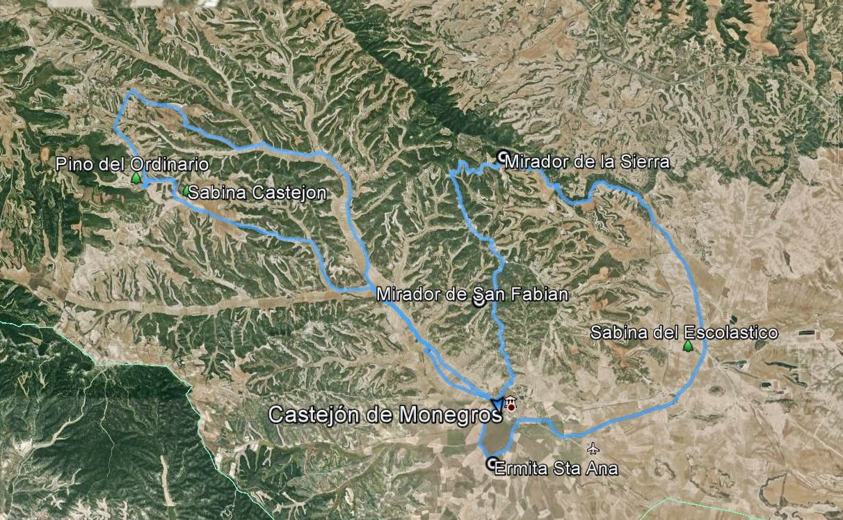 RUTAS x FRAGA Castejon de Monegros, Arboles Monumentales y Miradores