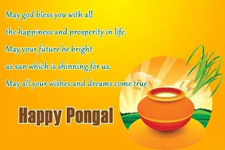 wish you happy Pongal