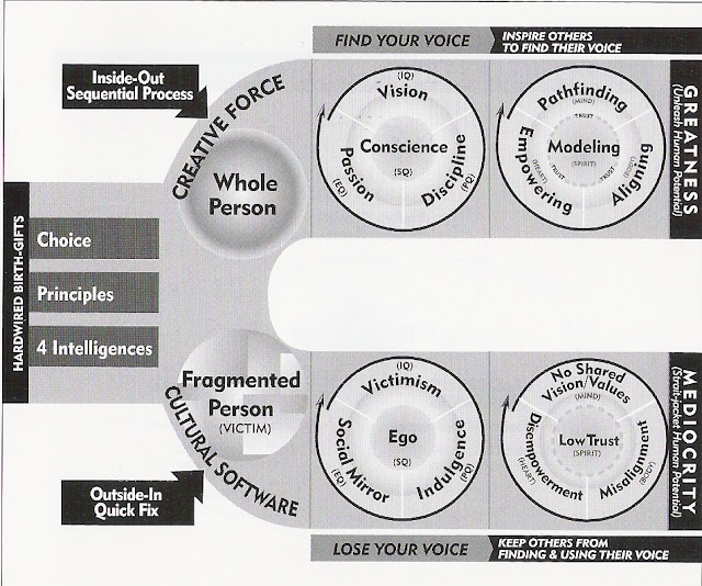 Random musings: The 8th Habit - Find Your Voice and Inspire Others to