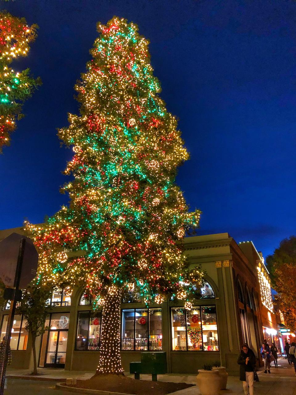 Christmas Decor & Lighting around Redwood City Downtown, San Francisco