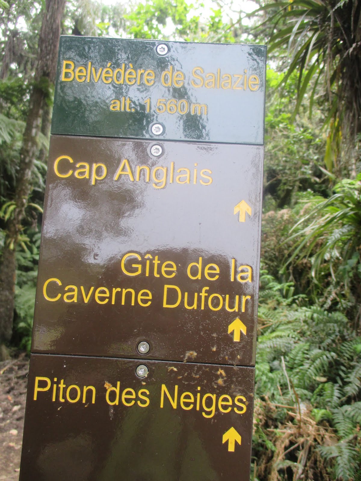 de la Réunion Mercredi 19 et Jeudi 20 octobre Le Piton des