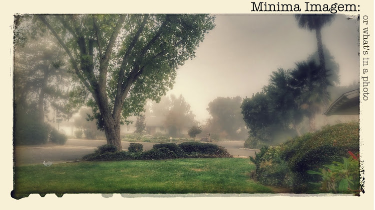 Minima-Imagem, or what's in a photo