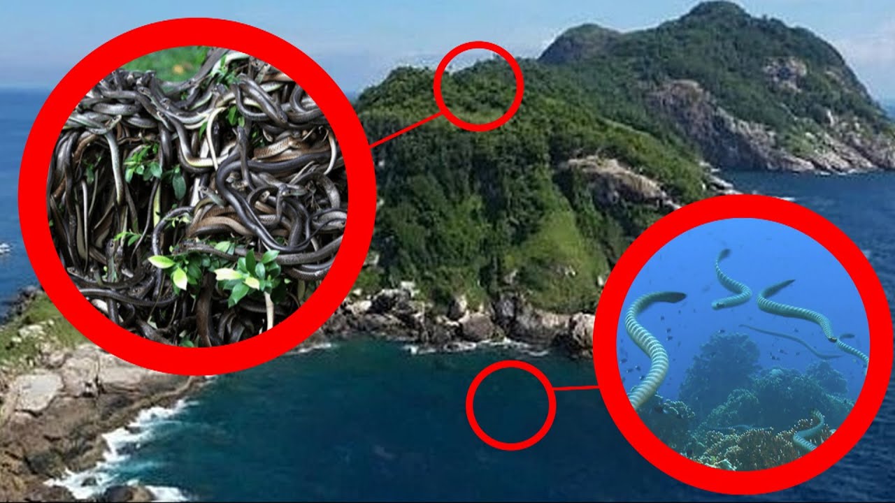 LIST 10 Strange, Weirdest and Most Bizarre Islands On Earth It's