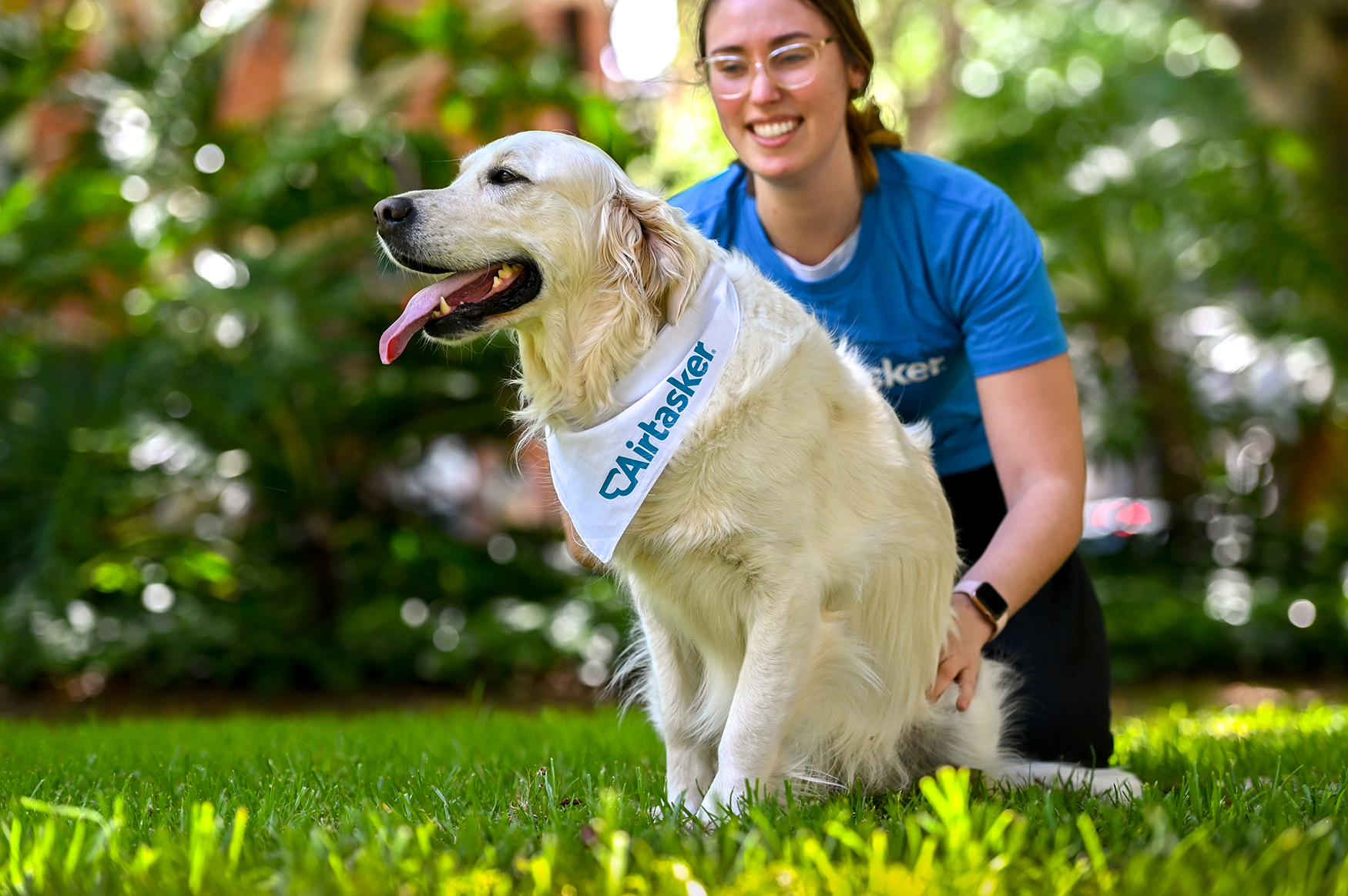 Airtasker Pet Professionals Experience a Boom in Demand | Australian Dog  Lover