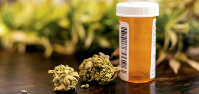 Qué considerar al buscar variedades de marihuana medicinal cerca de usted