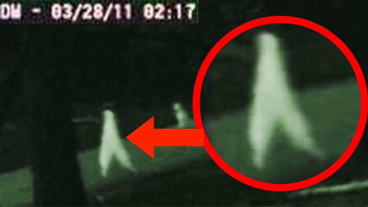 Top 15 Most Terrifying Unsolved Mysteries Ever Recorded www.vrogue.co