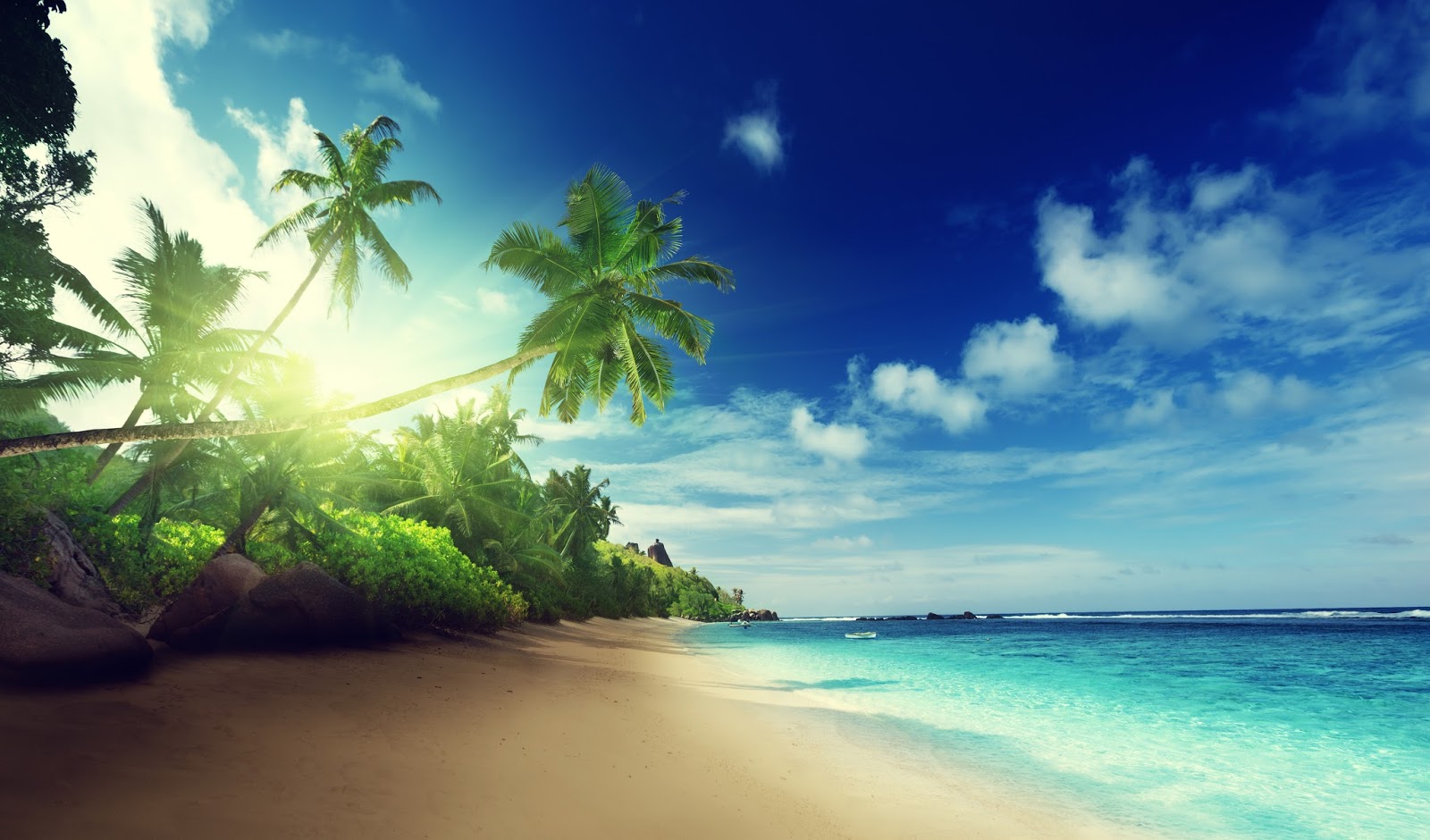 Banco de Imágenes Gratis: 30 fotos de playas tropicales con agua